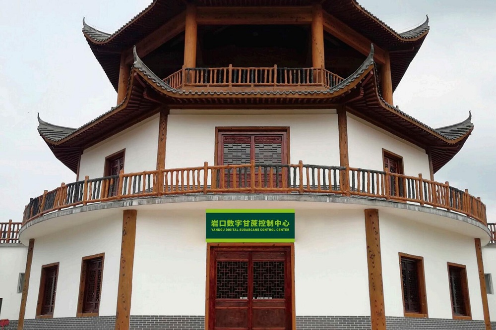 1593402908581368.jpg 5.jpg